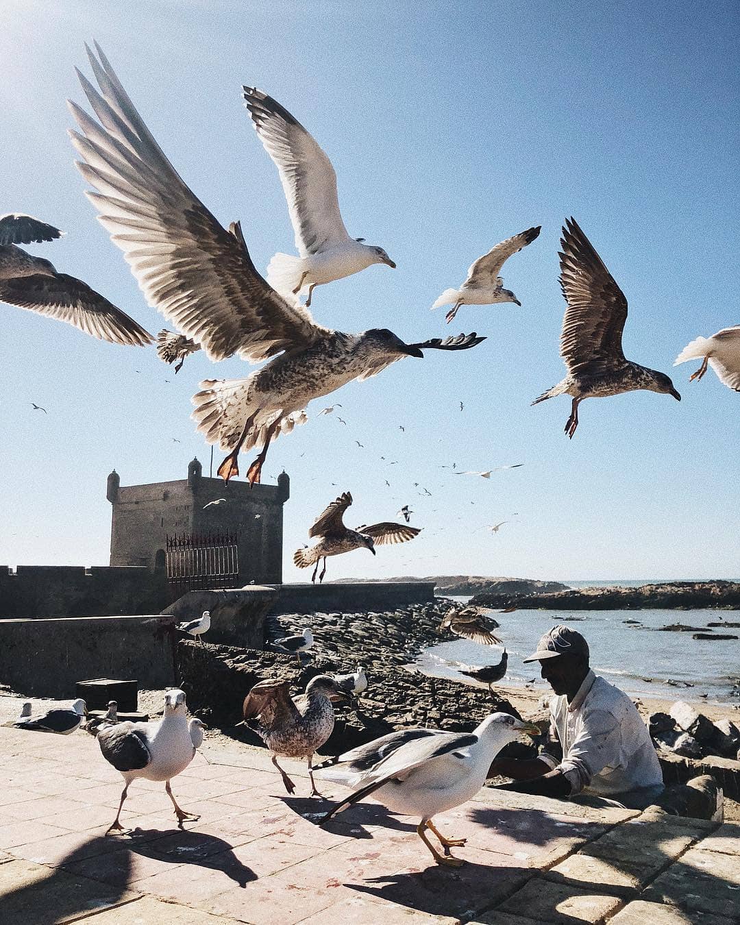 Essaouira