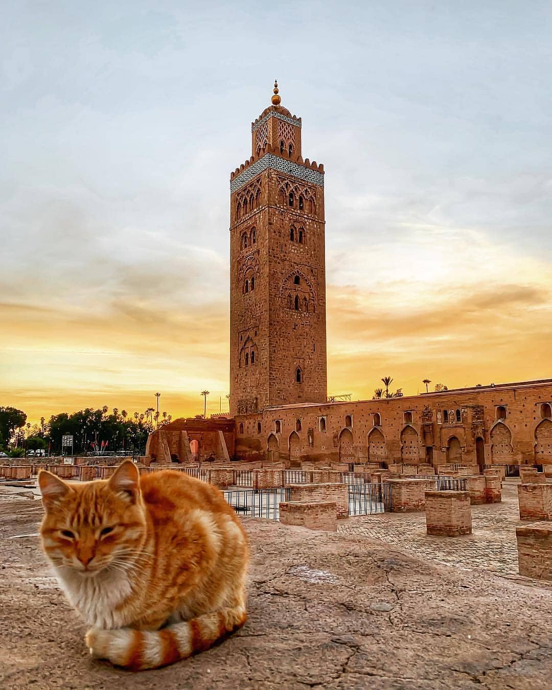 Escapada a Essaouira: Excursión desde Marrakech