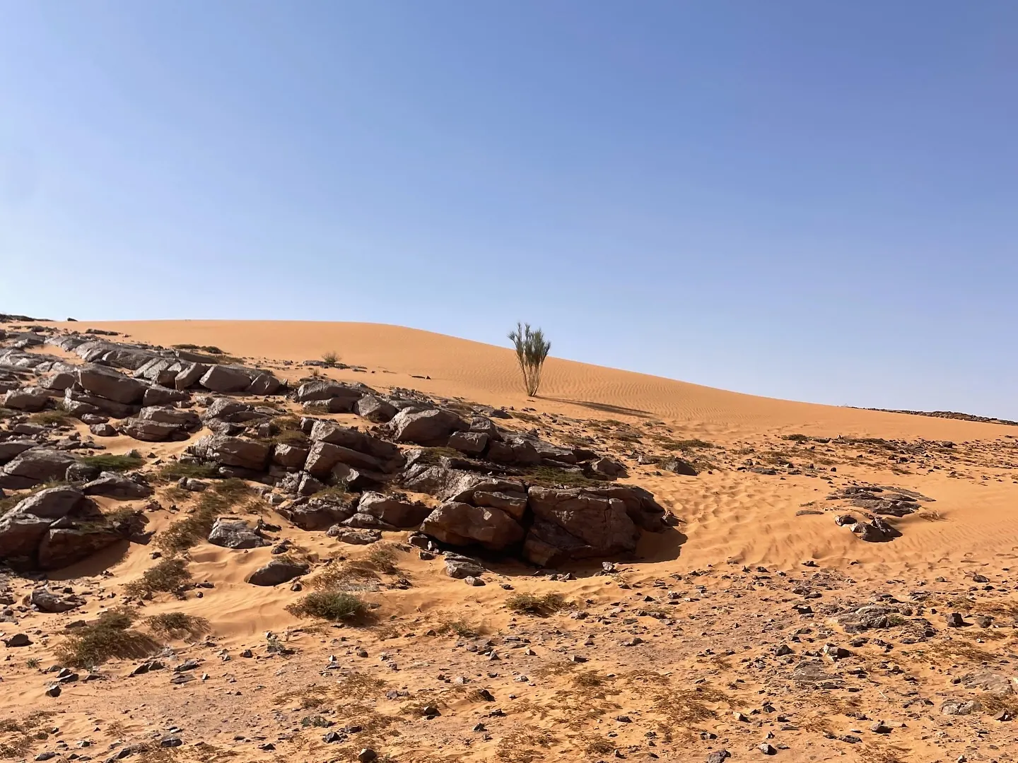Affleurements de roche sombre au pied des dunes dans le désert du sud-est du Maroc