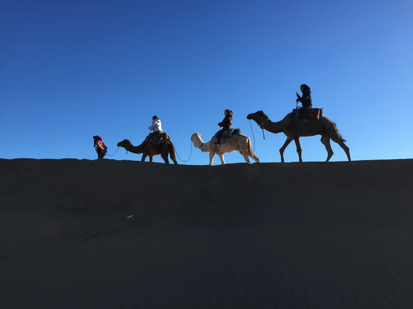 Camel riders silhouetted on a sand dune against a blue sky in the Moroccan Sahara