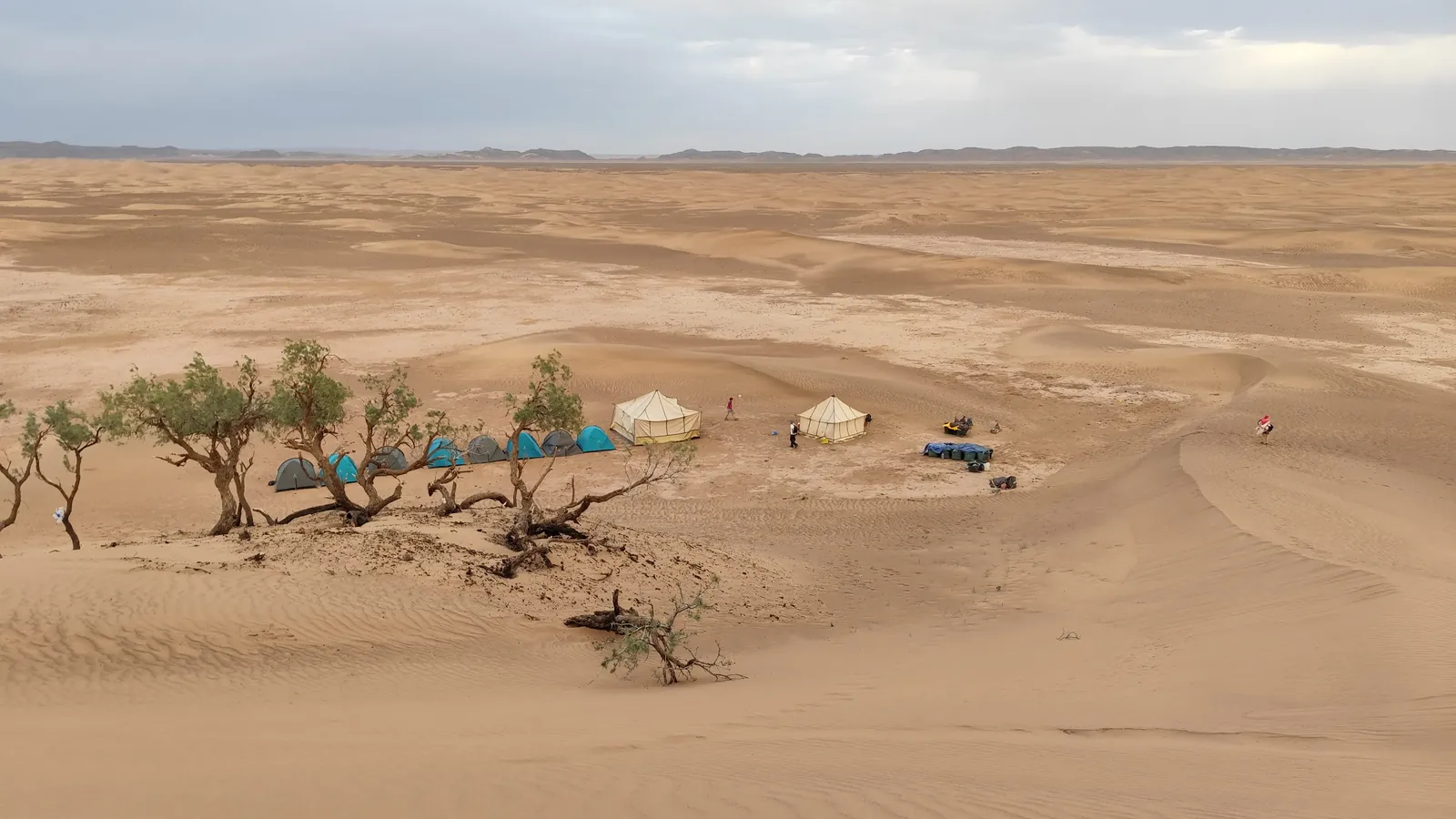 Morocco Sahara desert camp among tamarisks and dunes, seen from the top of a dune