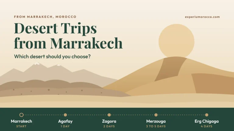 Desert trips from Marrakech: Which desert should you choose?