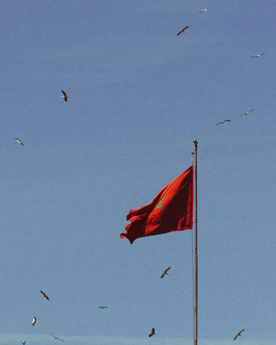 Drapeau du Maroc rouge à l'étoile verte flottant en haut d'un mât dans un ciel bleu traversé par des cigognes