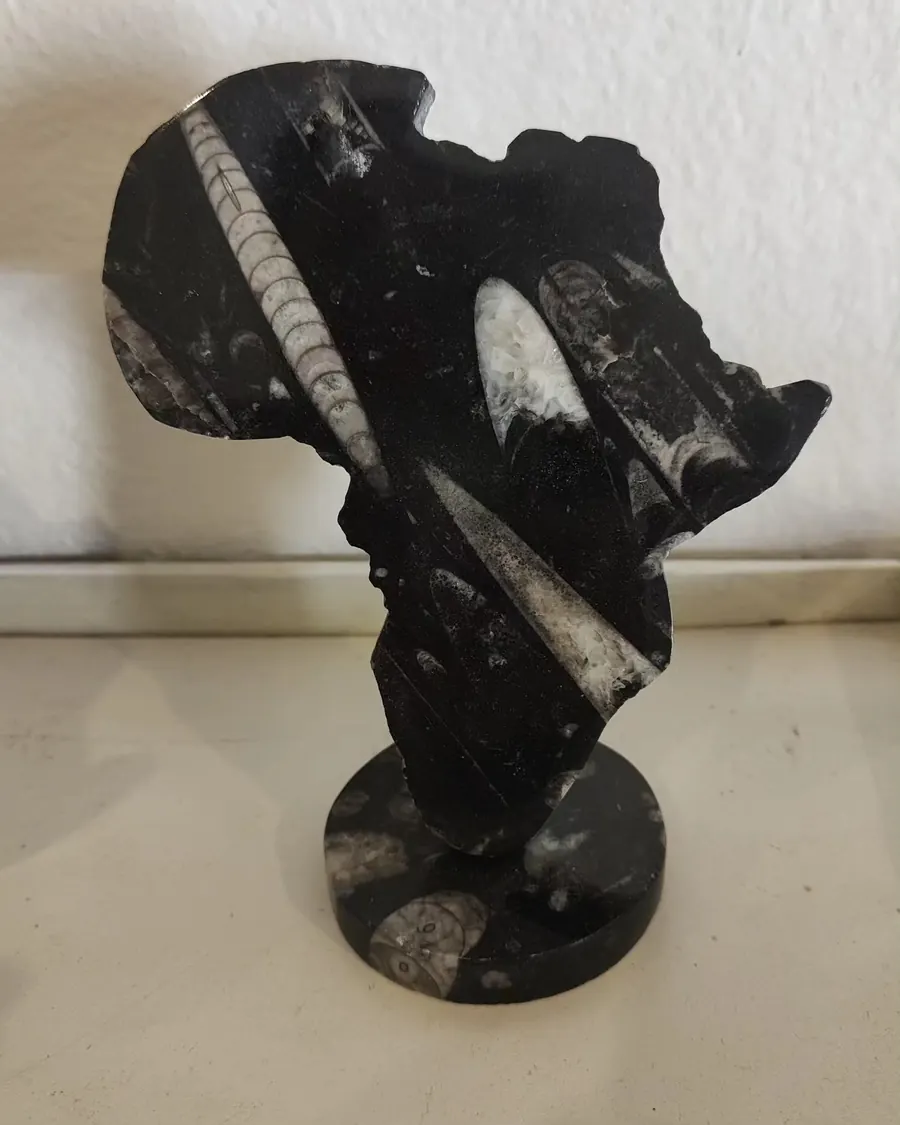 Escultura de piedra negra con forma de África y ortocerátidos fósiles a la vista