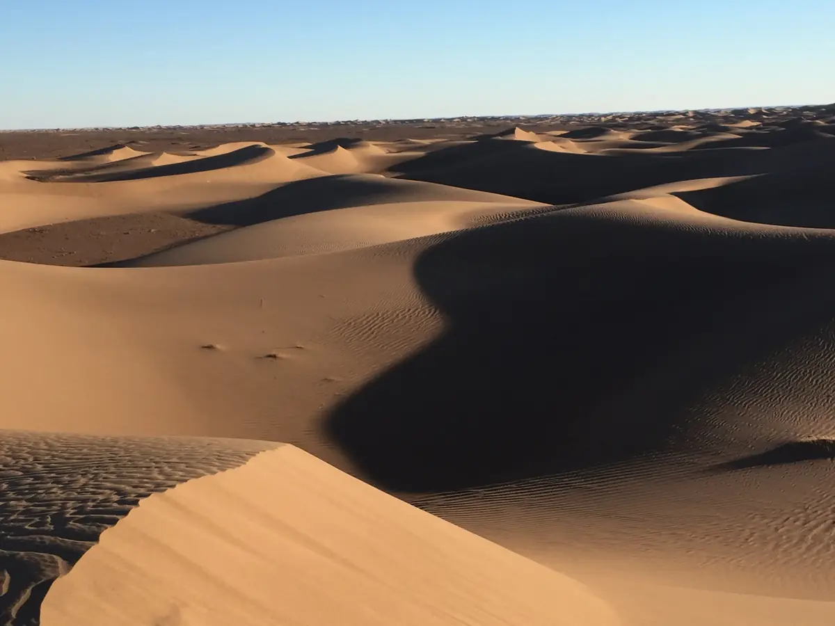 Golden sand dunes with deep shadows in the Sahara Desert, Morocco