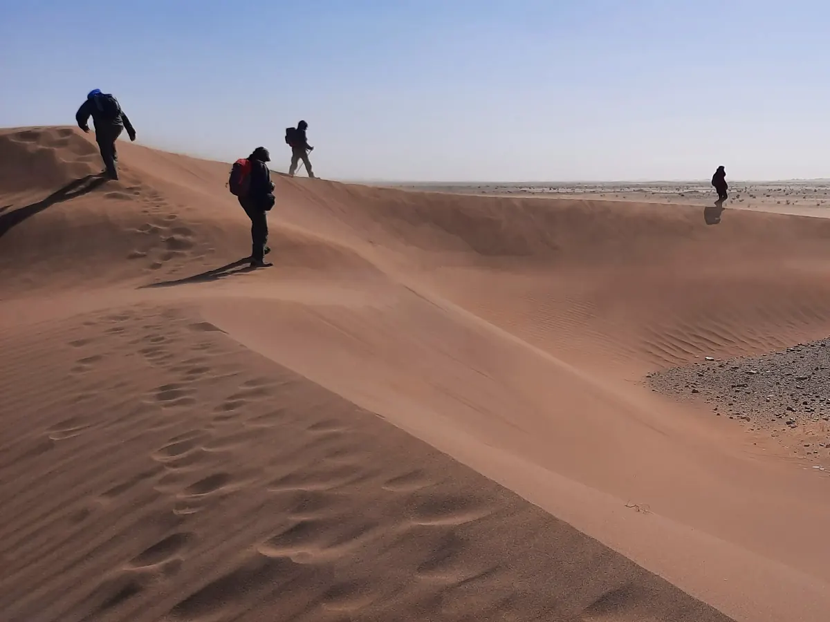 Hikers walking along a windswept dune ridge in the Sahara Desert, Morocco