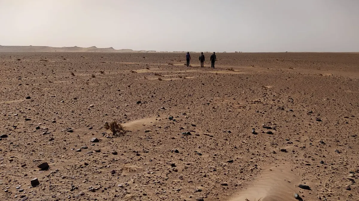 Three hikers crossing a flat stony desert plain in southern Morocco