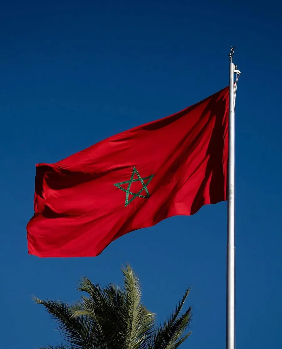 The Morocco flag, red with a green interlaced star, flying against a deep blue sky above a palm tree