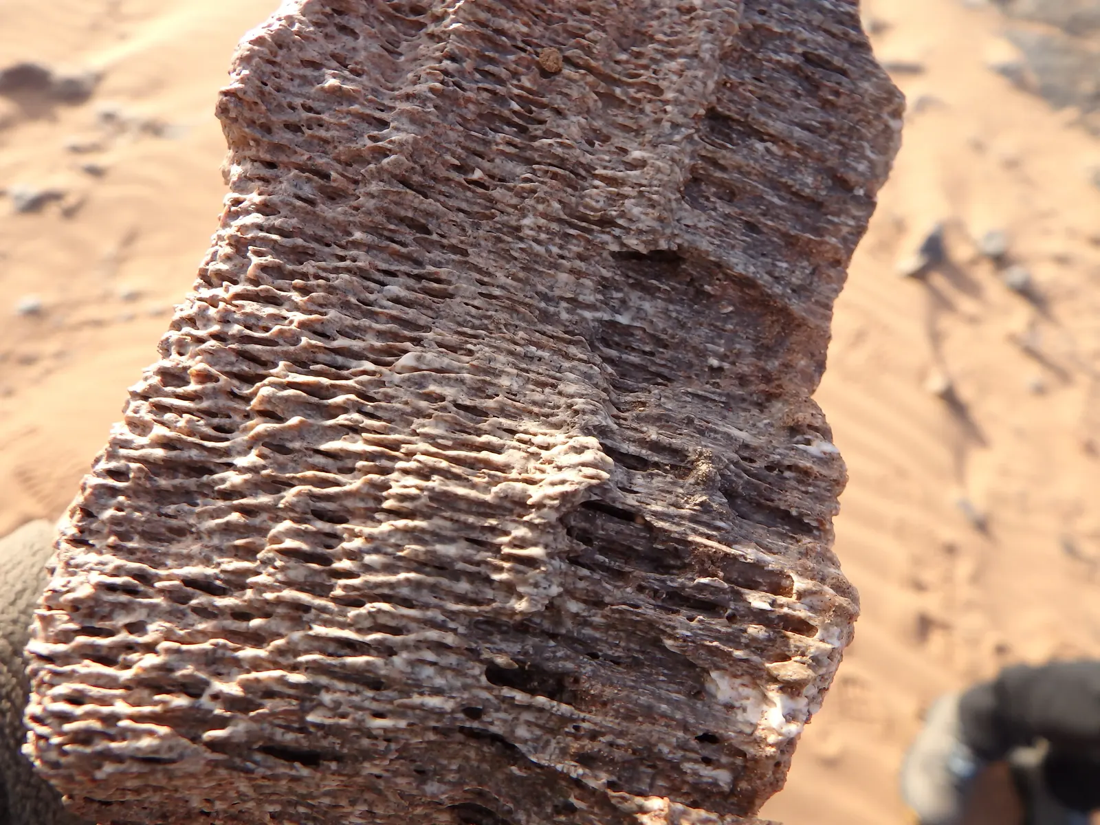 Roca con textura en capas modelada por la erosión sobre la arena del desierto de Marruecos