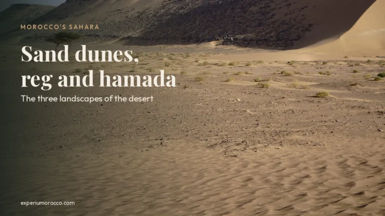Large sand dune, stony plain and rocky hills in the Sahara Desert, Morocco