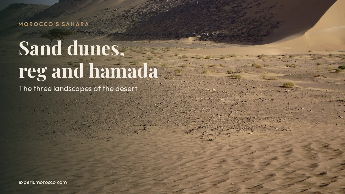 Large sand dune, stony plain and rocky hills in the Sahara Desert, Morocco