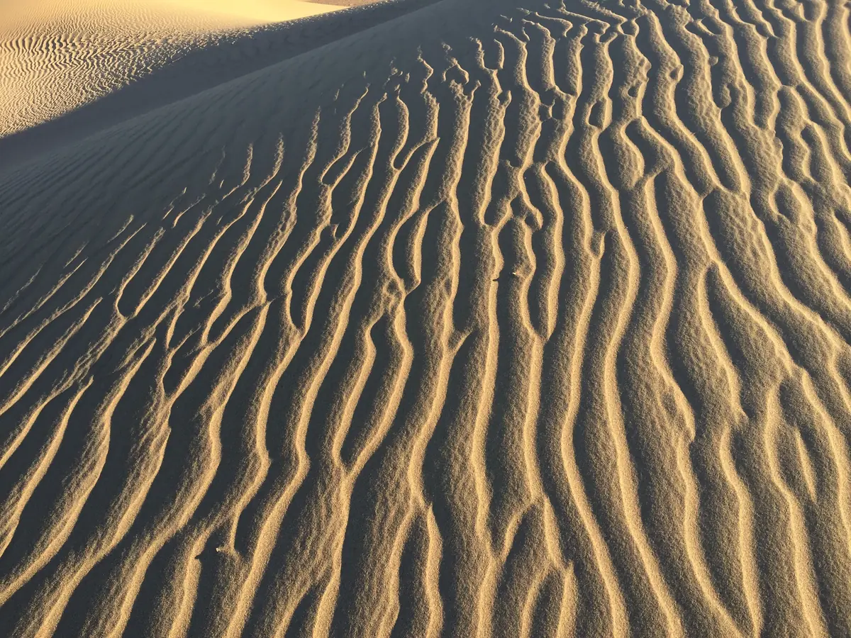Close-up of wind ripples on a sand dune in the Moroccan Sahara