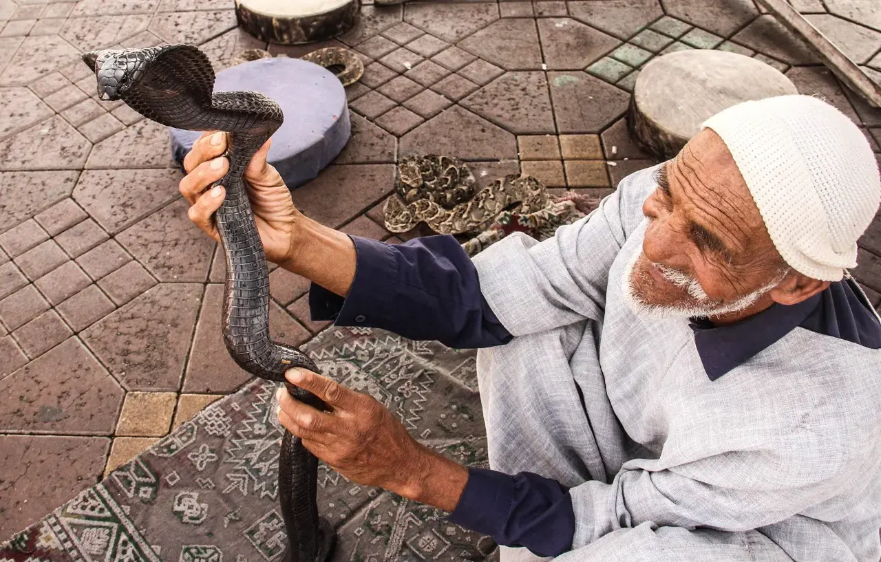 Snake charmer in Jemaa el-Fna square, Marrakech