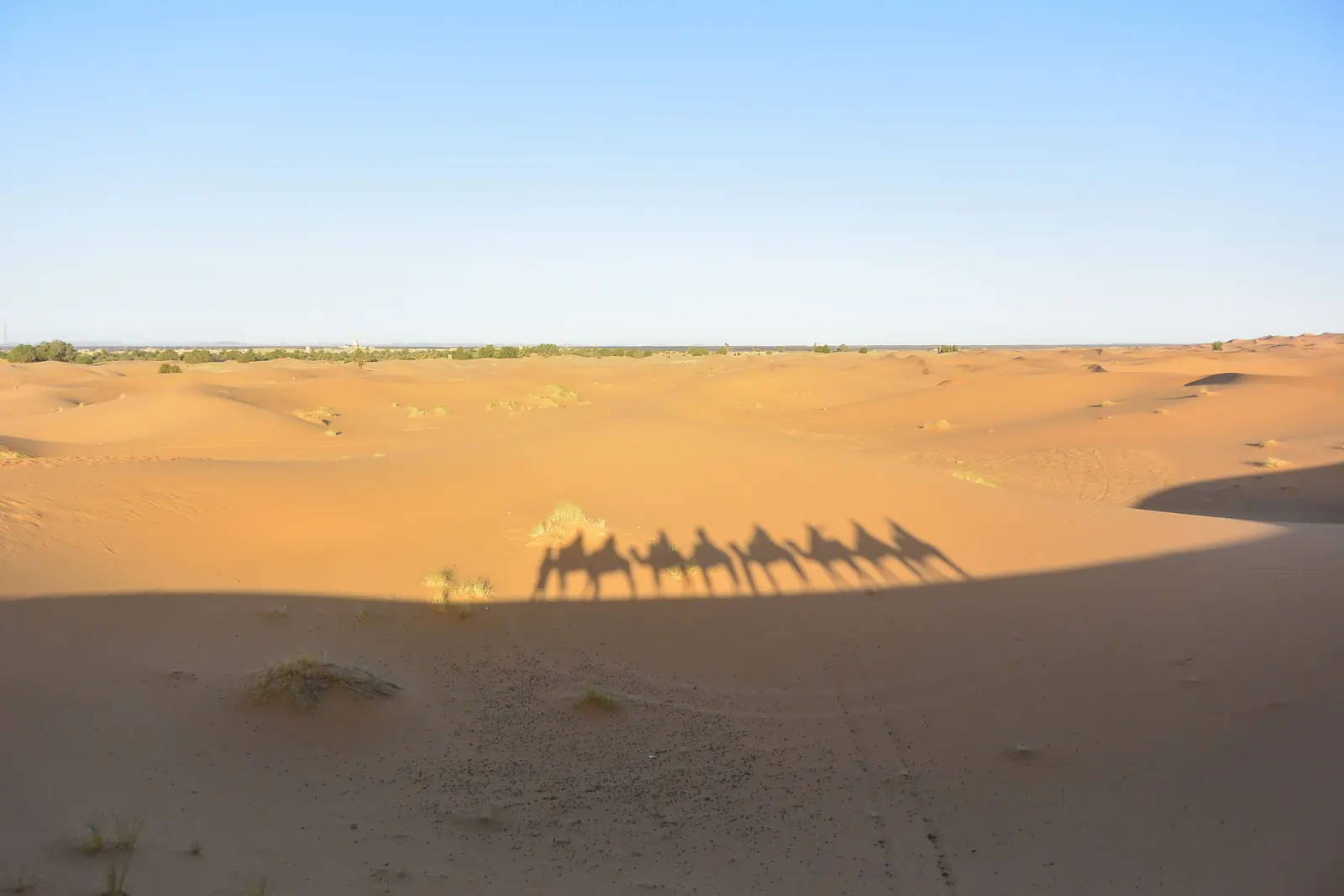 Sombra de una caravana de dromedarios proyectada sobre la arena del desierto