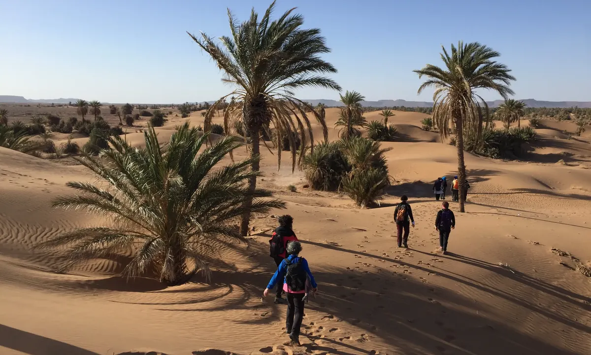 Senderistas caminando entre palmeras y dunas en un oasis del sur de Marruecos