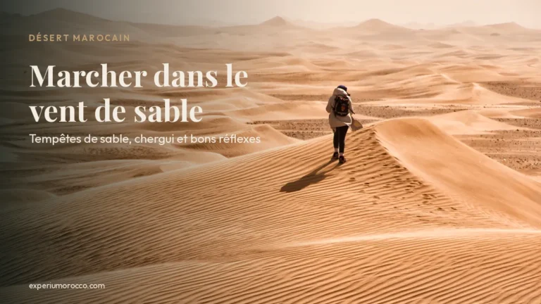 Randonneur face à une mer de dunes voilée par le vent de sable, désert marocain