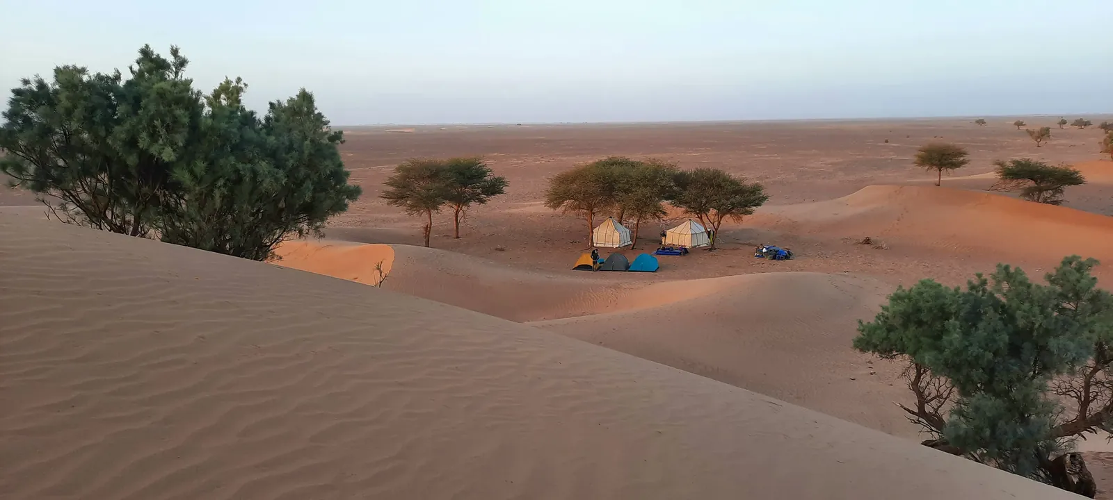 Bivouac au milieu des dunes et des tamaris dans le désert marocain, vu depuis une dune