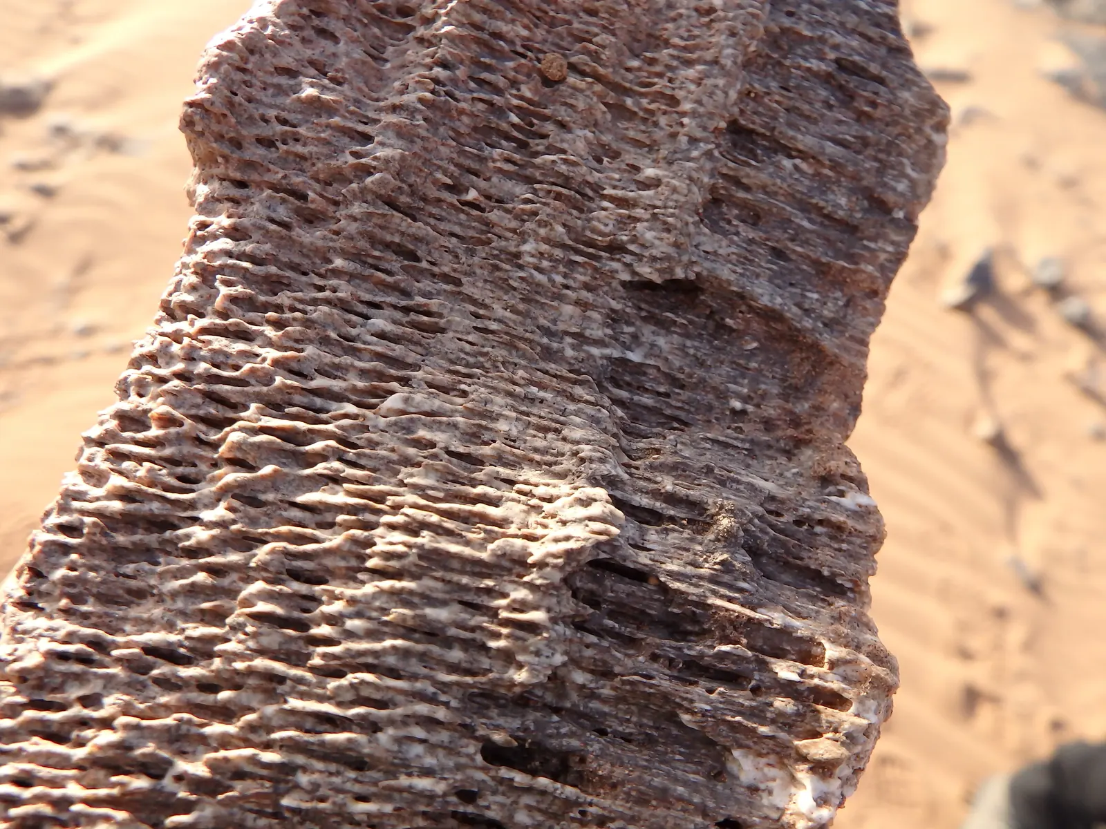 Layered rock shaped by erosion lying on desert sand in Morocco